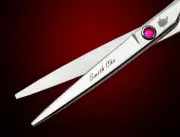 Salon Hairdressing Set 6." （only one ) Cutting & Barber Razor + Comb