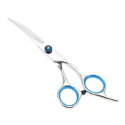 1 Pc Convenient Pet Scissors for Pets Shop 5.5 Inches Silver Tone Blue
