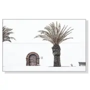 GGP Wall Art 70Cmx100Cm European Palm Tree White Frame Canvas