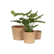 3pc A.FRESCO Terracotta Outdoor Clay Plant Pot Container Set Garden Decor Aged