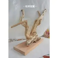 在飛比找蝦皮購物優惠-💖現貨如圖🌵漂流木．造型樹枝台座🌵吊掛LED燈串/乾燥花、裝