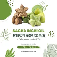 在飛比找蝦皮購物優惠-6042，Sacha Inchi Oil，有機初榨秘魯印加果