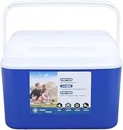 5L Insulated Portable Cooler, Large Capacity Insulated Hard Cooler Case Portable Cooler Box with Handle for Travel, Car, Picnic, Keeps Food Freshness and Drink Cool