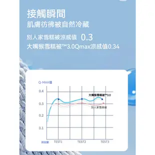 大嘴猴 A類涼感絲被 夏涼被 冰冰被 夏被 冰絲被 空調被 被芯 薄款 單人抗菌纖維被子