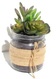 New Country Shabby Chic Farm House Artificial Succulents in Glass Jar W/ Burlap