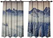 Anshesix Nature Outdoor Balcony Privacy Curtain Snowy Winter Dramatic Overcast Sky Wonderland Snowfall Seasonal Panorama Print W63 x L72(160cm x 183cm)