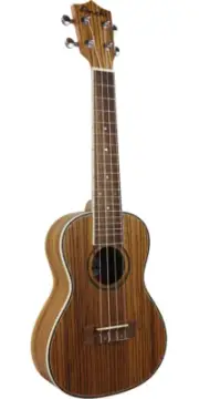 Amahi UK330C Classic Zebrawood Concert Ukelele w/Bag, Satin Finish