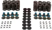 Engine Valve Spring Kit-Performance Melling VSK461208