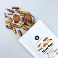 在飛比找蝦皮購物優惠-🪲泰國 蟲餅 Thailand Unique 食用【綜合昆蟲