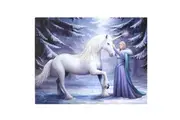 Anne Stokes 19x25cm Pure Magic Canvas (White) (One Size)