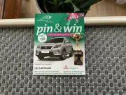 2012 Carded Melbourne Cup Pin Badge / Horse Racing
