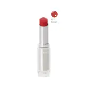 CEZANNE - Lasting Gloss Lip - 101 Brown