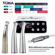 Dental Brushless LED Electric Micro Motor/1:1/1:5 Increasing Handpiece