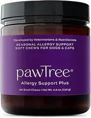 allergy support