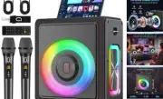 Karaoke Machine for Adults with 2 Wireless Microphones, Portable Bluetooth 5.3