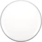 Parliky Drum Skin 10 Inches Universal Replacement Jazz Drum Accessory White Drum Set Kit Musical Instrument Part