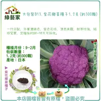 在飛比找Yahoo奇摩購物中心優惠-【綠藝家】大包裝B13.紫花椰菜種子1.2克(約300顆)