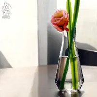 在飛比找蝦皮商城優惠-九土玻璃花器北歐花瓶簡約透明玻璃花瓶容器現代花器餐桌擺飾客廳