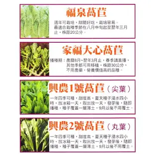 種子王國 家福大心萵苣 萵苣 【蔬果種子】不用農藥 營養價值高的品種 興農種苗 家庭園藝 原包裝種子 每包約4公克