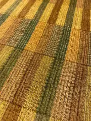 Designer Olive Green Mustard Gold Orange Brown Chenille Upholstery Fabric WHS 44
