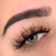 Luxury Mink Lashes: Spoiled