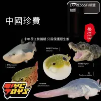 在飛比找露天拍賣優惠-現貨 動物星球的珍寶3長江可愛動物模型擺件