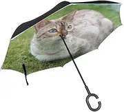 Animal Cat Bengal White Mix Fluffy Animated Cute Pet Inverted Umbrella Large Double Layer Outdoor Rain Sun Car Reversible Umbrella