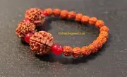 RUDRAKSHA LEO BRACELET WRIST BAND ZODIAC GURU BEAD 7 & 5 MUKHI NEPALESE RARE OM