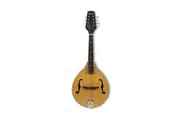 Mandolin - A Style