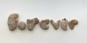 Natural Letter Shaped FOREVER Rocks Beach Stone wedding Pebble Art/craft hag USA