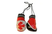 CANADA & TRINIDAD and TOBAGO Country Flags Mini BOXING GLOVES .. New