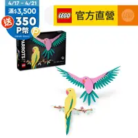 在飛比找PChome24h購物優惠-LEGO樂高 Art 31211 動物群系列－金剛鸚鵡