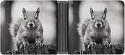 [LQPMNK] PU Leather Wallet, Light Gray Squirrel Print Wallet with Multiple Slots Elegant Wallet Business Wallet Travel Wallet Bifold Wallet, style, One size, Minimalist, Style, One size, Minimalist