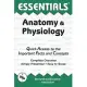 Anatomy and Physiology Essentials