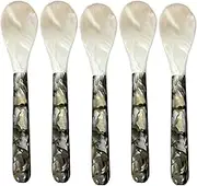 Handmade Pearl Spoon Shell Spoon | Pearl Spoon,Caviar Server Decorative Caviar Spoons for Caviar Egg Ice Cream