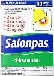 [Hisamitsu] Salonpas Heat Patch Herbal Menthol Self Adhesive Medical Plaster Pain Relief Patch for Sore Muscles (40 Patches)
