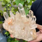 2.3lb Natural Clear White Quartz Crystal Cluster Rough Healing Specimen