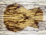 5A Figure Electric Guitar Top Wormhole Marblewood Bookmatched Set Luthier Supply