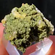 2.6cm Mimetite Crystals with Mottramite Thumbnail from Tsumeb Mine, Namibia