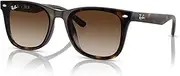 [Ray-Ban] Non Polarised Sunglasses, RB4420