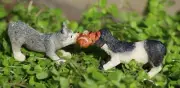 Miniature Dollhouse Fairy Garden 2 Dogs Playing Tug of War - Buy 3 Save $5