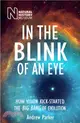 In the Blink of an Eye ─ How Vision Kick-Started the Big Bang of Evolution