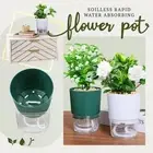 Plant Pot Automatic Water For Sensitive Plants Golden Devil's Ivy Plastic Resin