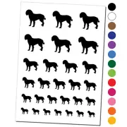 American Water Spaniel Dog Solid Temporary Tattoo Water Resistant Set Collection