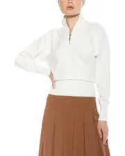 Alexia Admor Niko Turtleneck Sweater