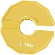 Oshhni Dumbbell Fractional Weight Plate Gym Supplies Convenient Use Compact Add-on Change Weight Plate for Micro Loading Bodybuilder