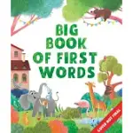 THE BIG BOOK OF FIRST WORDS