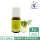 【Phoenix 菲馜思】茴香天然單方純精油10ml/1入(香氛薰香/保健腸胃/泡澡沐浴)