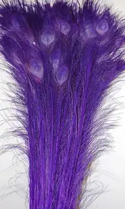 25 Pcs BLEACHED PEACOCK TAILS Feathers 30-35" PURPLE; Bridal/Wedding/Halloween