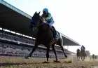 527126 AMERICAN PHARAOH WINS TRIPLE CROWN 16x12 WALL PRINT POSTER